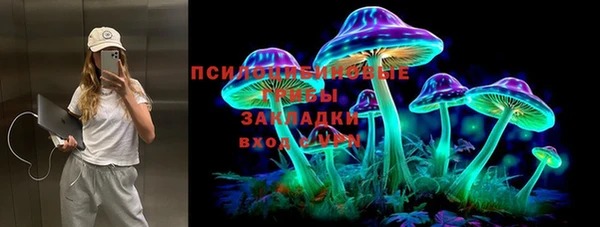 дурь Белокуриха