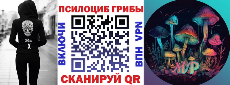 Псилоцибиновые грибы прущие грибы  мега как войти  Шелехов  как найти  